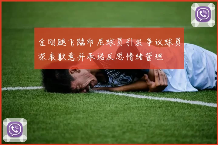 金刚腿飞踹印尼球员引发争议球员深表歉意并承诺反思情绪管理