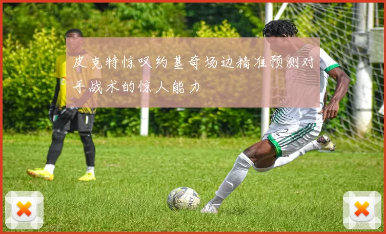 皮克特惊叹约基奇场边精准预测对手战术的惊人能力